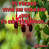 /album/fotogaleria/tu-puedes1-jpg/